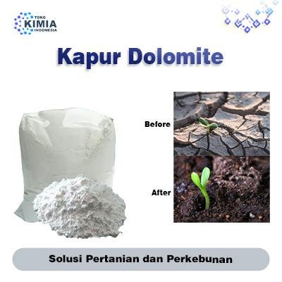 Kapur Dolomite Organik